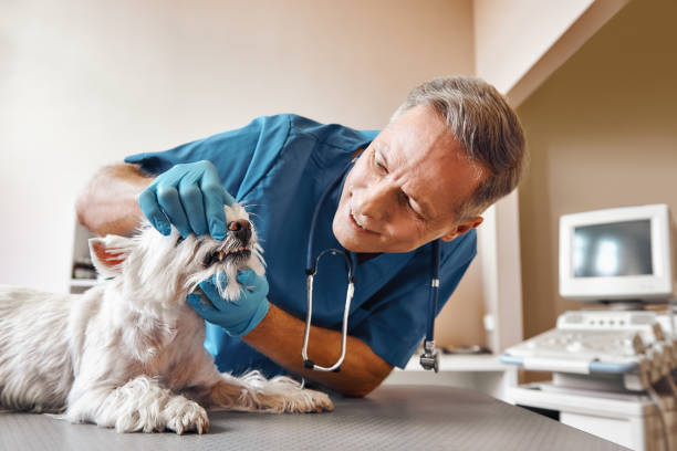 Best Tooth Infection Emergency Dentist  in Richland, PA